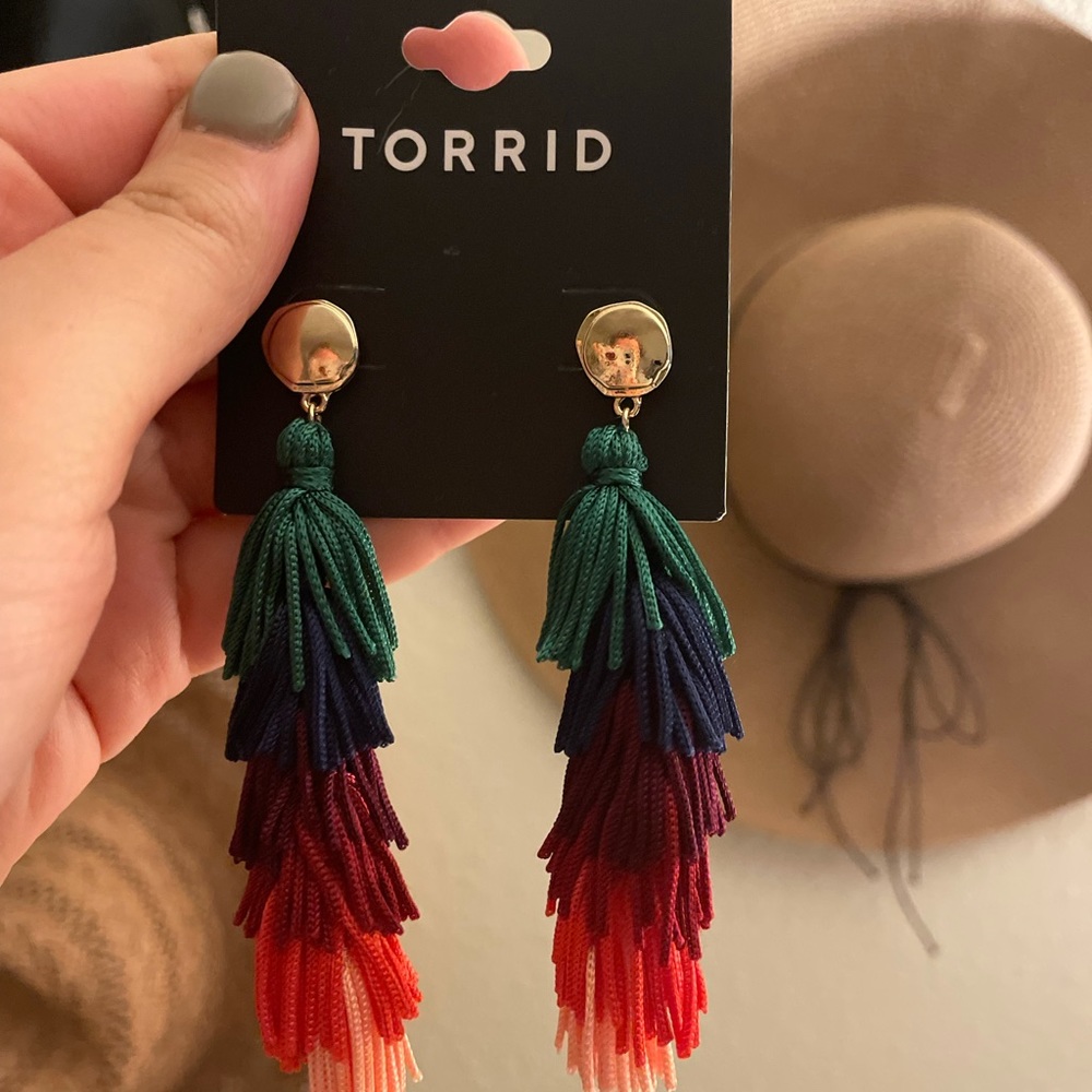 Tassel Fringe Multi-Color Earrings
